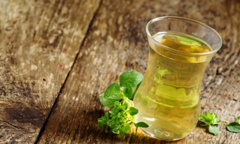 Ceai de Oregano: Traditie si Beneficii Intr-o Cana de Arome Terapeutice
