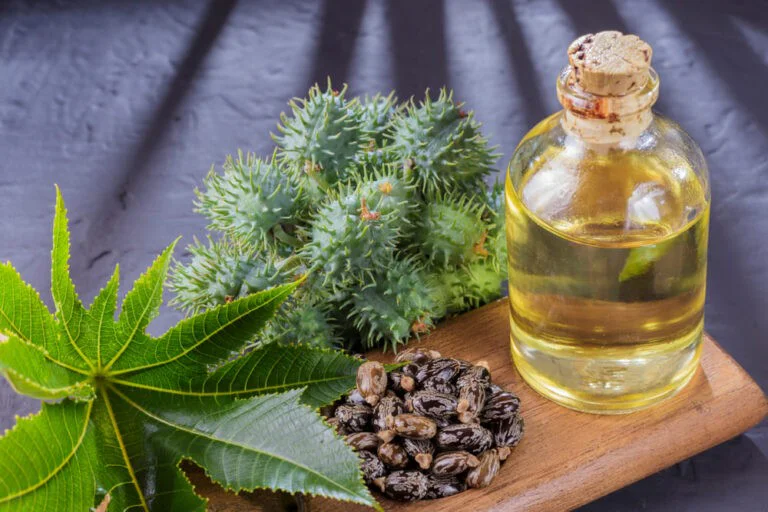Ulei de Ricin: Un Elixir pentru Sanatate si Frumusete
